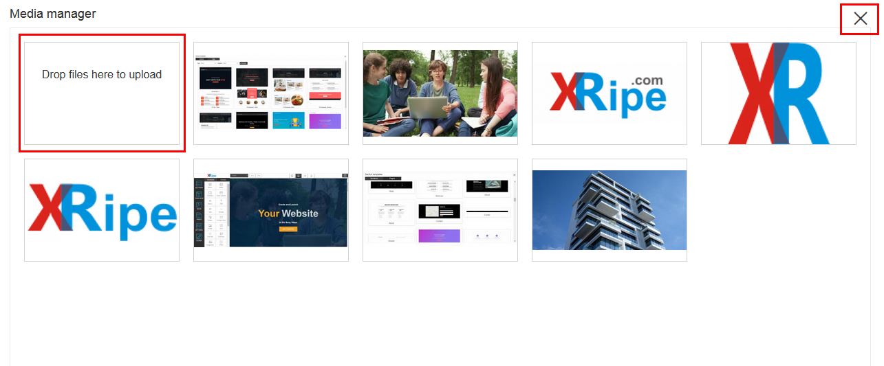 XRipe : website constructor media widget image library